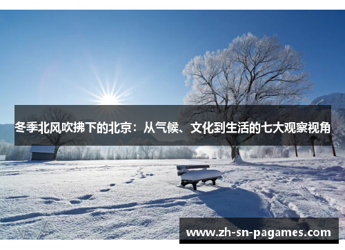 冬季北风吹拂下的北京:从气候、文化到生活的七大观察视角 冬季北风吹拂下的北京:从气候、文化到生活的七大观察视角
