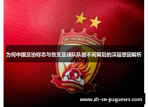 为何中国足协标志与各支足球队队徽不同背后的深层原因解析 为何中国足协标志与各支足球队队徽不同背后的深层原因解析