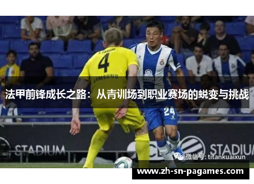 法甲前锋成长之路:从青训场到职业赛场的蜕变与挑战 法甲前锋成长之路:从青训场到职业赛场的蜕变与挑战