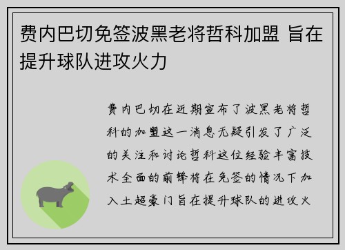 费内巴切免签波黑老将哲科加盟 旨在提升球队进攻火力